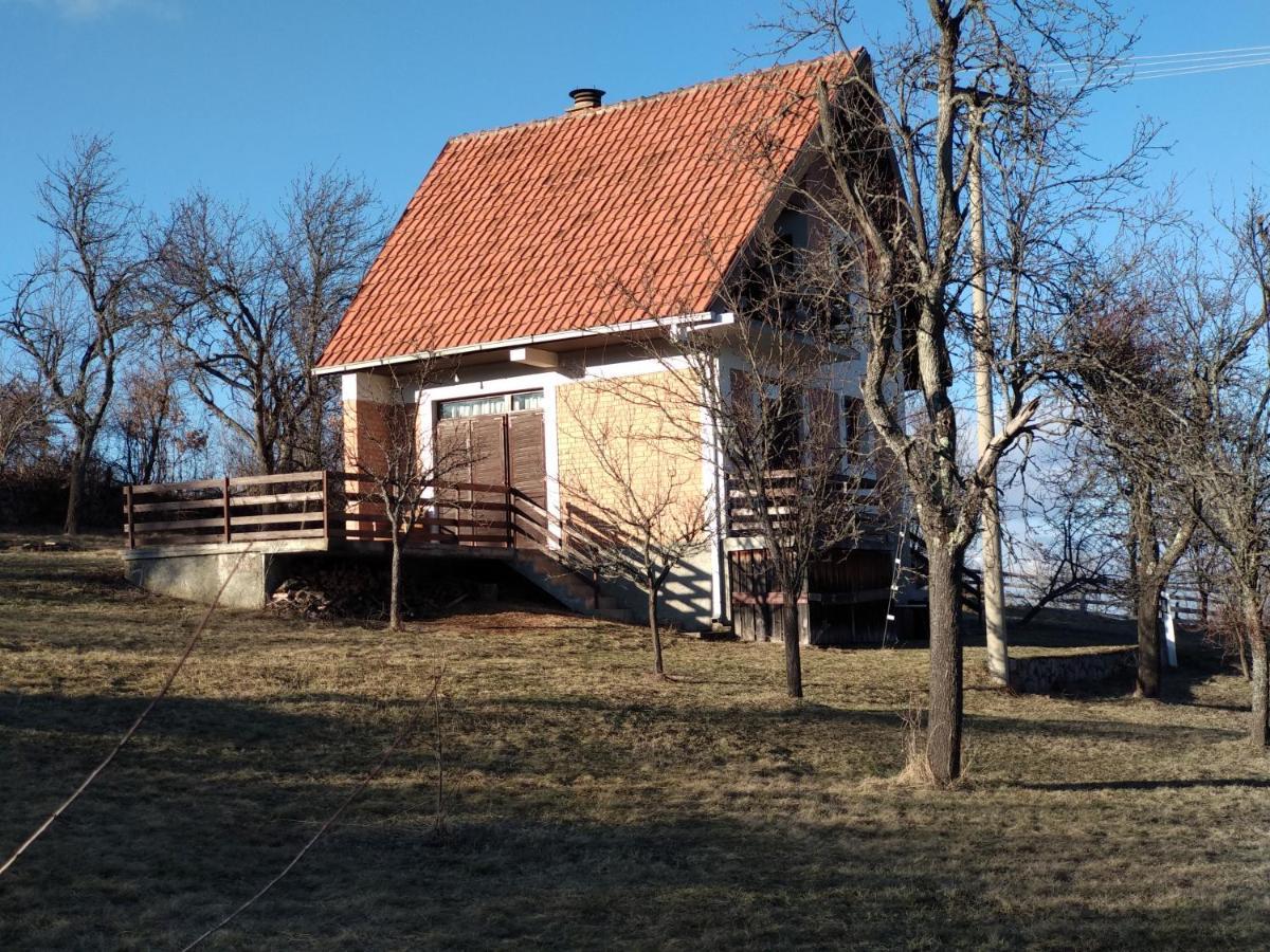 Villa Srdica Kuca Trnava  Esterno foto