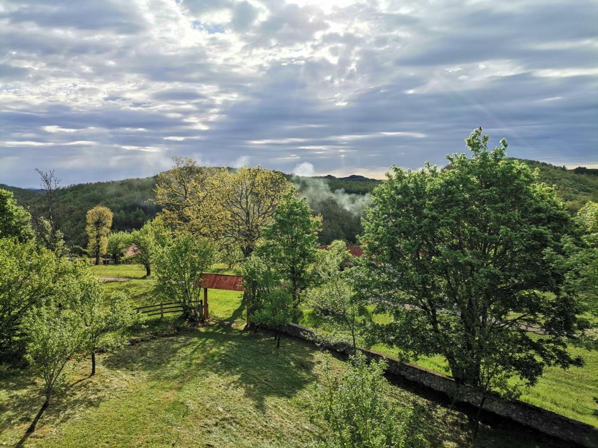 Villa Srdica Kuca Trnava  Esterno foto