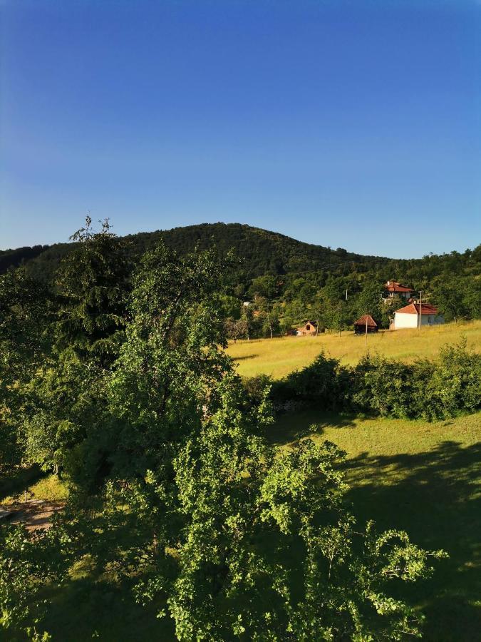 Villa Srdica Kuca Trnava  Esterno foto